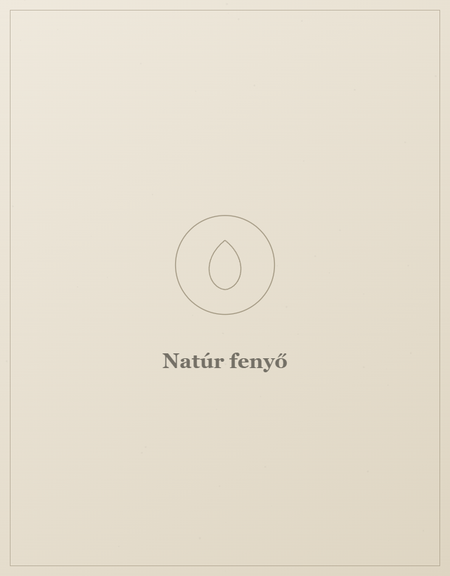 Natúr fenyő koporsó